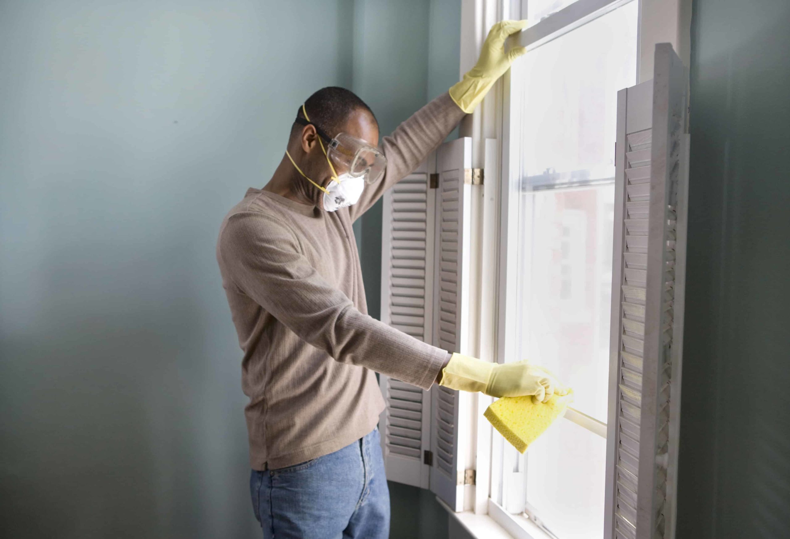 Mold removal