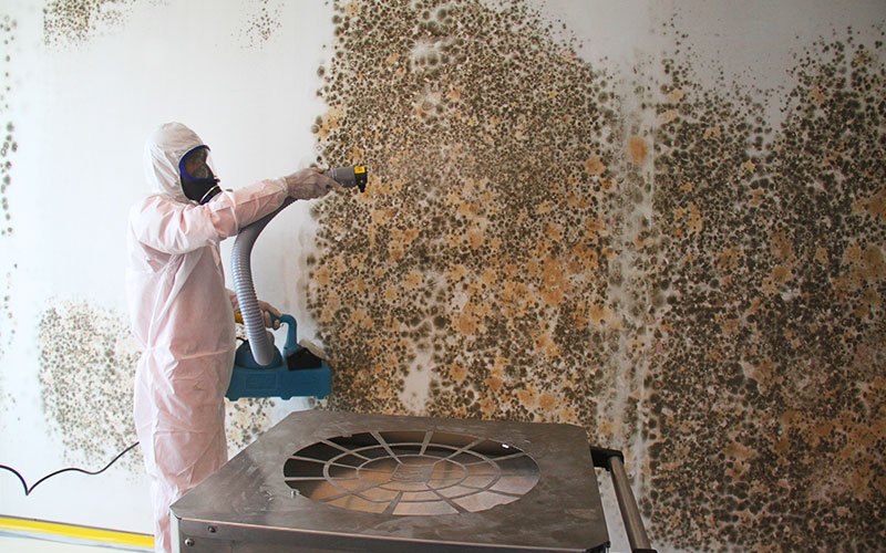 Mold removal