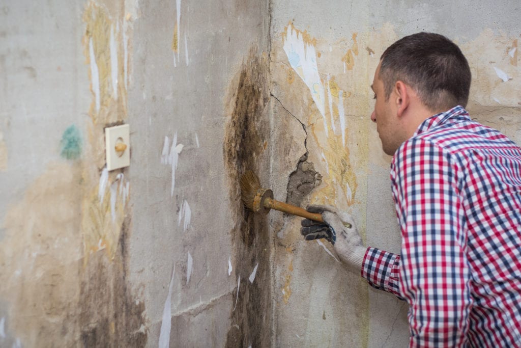 Mold removal