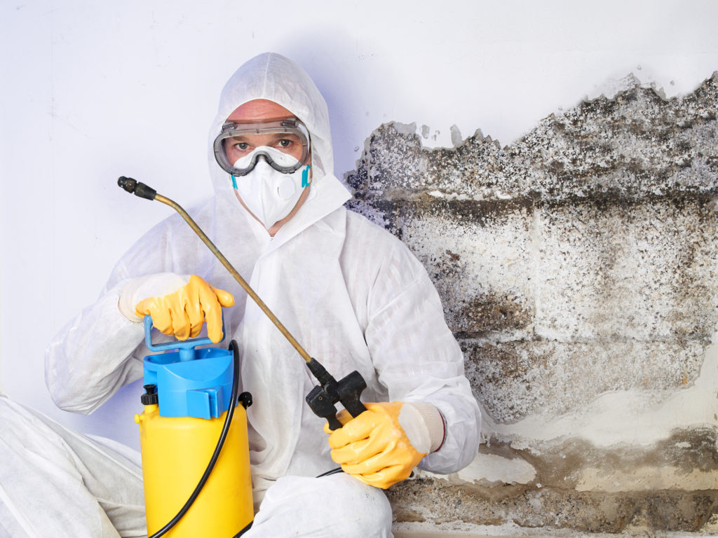 Mold removal