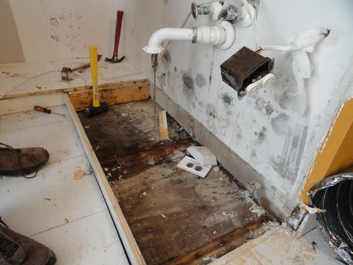 Mold removal